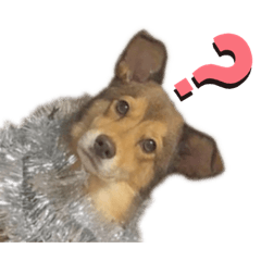 [LINEスタンプ] 愛しのリーちゃんず