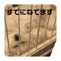 [LINEスタンプ] そらゆき2