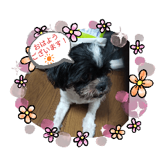 [LINEスタンプ] 仕事で使える色々な犬スタンプ
