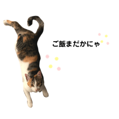 [LINEスタンプ] ぼぶスタ2020