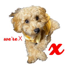 [LINEスタンプ] 日常生活のテト