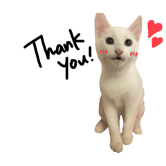[LINEスタンプ] Very Belle スタンプ#1