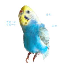 [LINEスタンプ] ぷーちゃん 1