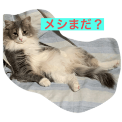 [LINEスタンプ] まみーファミリア