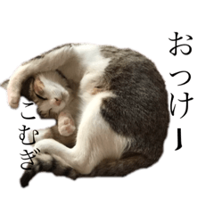 [LINEスタンプ] こむぎちゃんといっしょ  その2