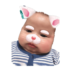[LINEスタンプ] けんたろすのすたんぷ