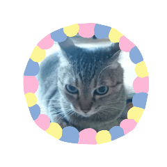 [LINEスタンプ] ミーちゃん stamp