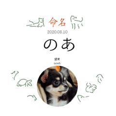 [LINEスタンプ] 望愛ちゃん(noah
