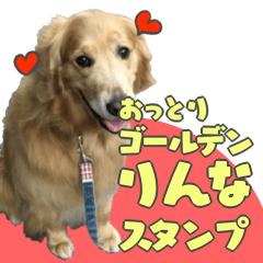 [LINEスタンプ] おっとりゴールデンりんなスタンプ