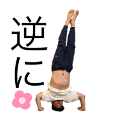 [LINEスタンプ] 林家〜顔スタンプ〜