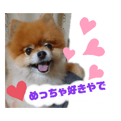 [LINEスタンプ] ポメラニアン、ラブの日々5