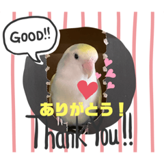 [LINEスタンプ] くーりんスタンプ第2弾！