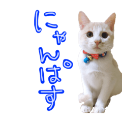 [LINEスタンプ] メルミュウウニ