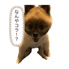 [LINEスタンプ] ごろうずスタンプ