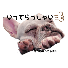 [LINEスタンプ] あぶぅ だもの 2
