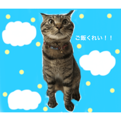 [LINEスタンプ] ソラおの日常2☆