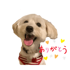 [LINEスタンプ] ここのスタンプ 2