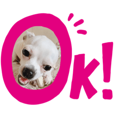 [LINEスタンプ] リリィの日常＾＾