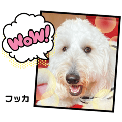 [LINEスタンプ] フッカフカのフッカ・その1