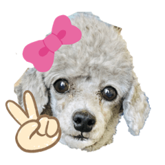 [LINEスタンプ] LEON♥