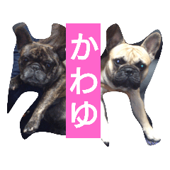 [LINEスタンプ] 3文字表現