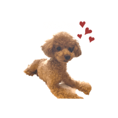 [LINEスタンプ] chiro_0617