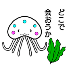 [LINEスタンプ] ぬるっと、クラゲ、コンブさんの待ち合わせ