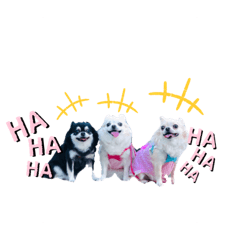 [LINEスタンプ] MEIREOCOCO