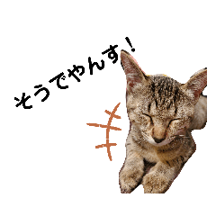 [LINEスタンプ] ねこのちくわ②
