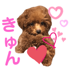 [LINEスタンプ] もっぷさんの日常