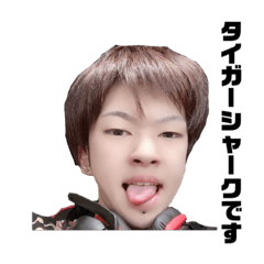 [LINEスタンプ] 【公認】タイガーシャークスタンプ