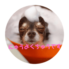 [LINEスタンプ] チョコクリスティンスタンプ