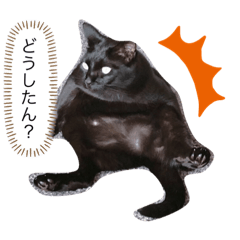 [LINEスタンプ] 黒猫ななこ