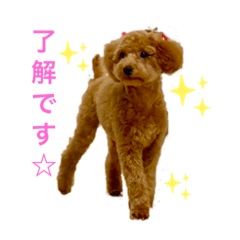 [LINEスタンプ] カトりんの日常♪