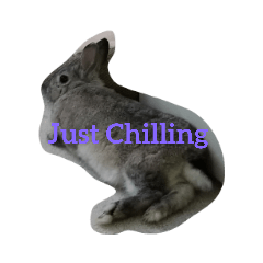 [LINEスタンプ] ゆずのお気楽な日常