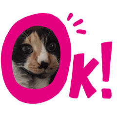 [LINEスタンプ] SFamオールスターズ