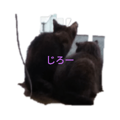[LINEスタンプ] 癒やしのにゃんこ
