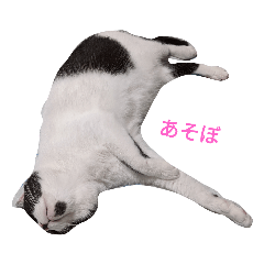 [LINEスタンプ] フク先生