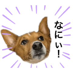[LINEスタンプ] ぼくはレオン②