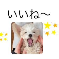 [LINEスタンプ] かねねんのうめ吉くん