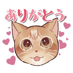 [LINEスタンプ] 茶トラにゃんこ☆にこのスタンプ