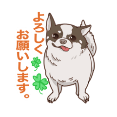 [LINEスタンプ] 敬語わんちゃん ブルちゃん