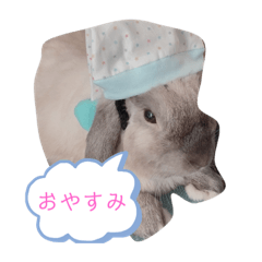 [LINEスタンプ] もっちさんスタンプ