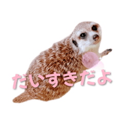 [LINEスタンプ] ミーアのはまち、時々ぶり