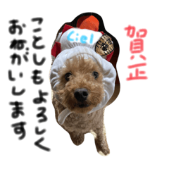 [LINEスタンプ] 愛犬シエル