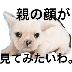 [LINEスタンプ] かわいすぎるすずパート2