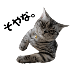 [LINEスタンプ] 私、ハナ。その2