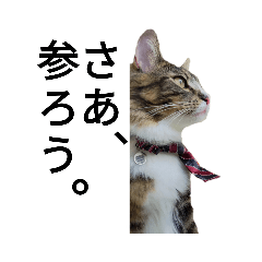 [LINEスタンプ] うちのゲベ4