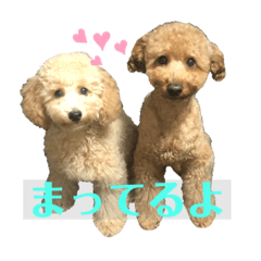 [LINEスタンプ] クゥまるスタンプ