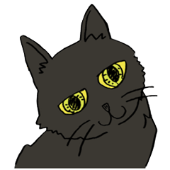 [LINEスタンプ] 黒猫ミントの日常会話スタンプ